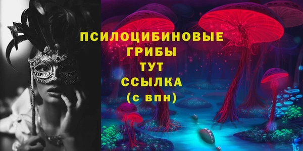 mdpv Гусь-Хрустальный